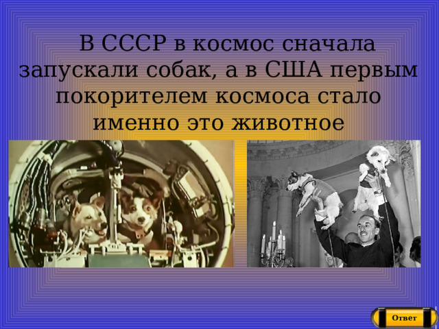 В СССР в космос сначала запускали собак, а в США первым покорителем космоса стало именно это животное Ответ 