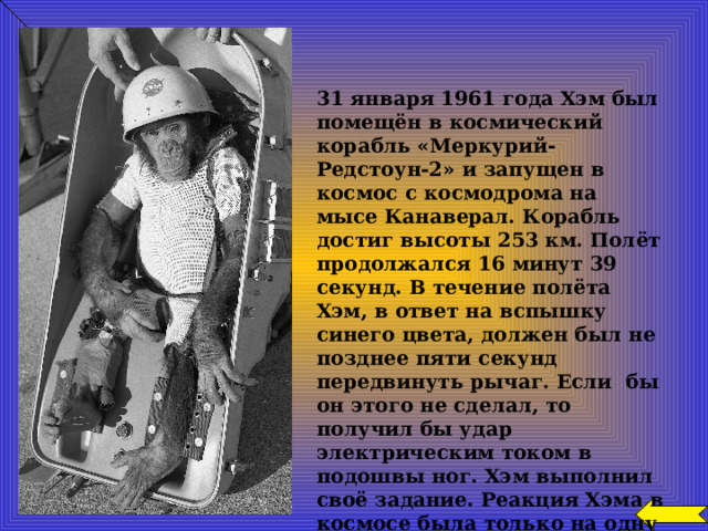  31 января 1961 года Хэм был помещён в космический корабль «Меркурий-Редстоун-2» и запущен в космос с космодрома на мысе Канаверал. Корабль достиг высоты 253 км. Полёт продолжался 16 минут 39 секунд. В течение полёта Хэм, в ответ на вспышку синего цвета, должен был не позднее пяти секунд передвинуть рычаг. Если бы он этого не сделал, то получил бы удар электрическим током в подошвы ног. Хэм выполнил своё задание. Реакция Хэма в космосе была только на одну секунду хуже, чем на Земле. 