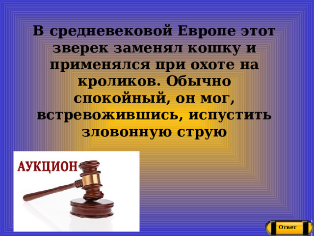 В средневековой Европе этот зверек заменял кошку и применялся при охоте на кроликов. Обычно спокойный, он мог, встревожившись, испустить зловонную струю Ответ 