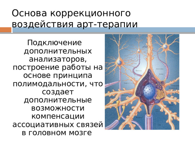 Основа коррекционного воздействия арт-терапии  Подключение дополнительных анализаторов, построение работы на основе принципа полимодальности, что создает дополнительные возможности компенсации ассоциативных связей в головном мозге 