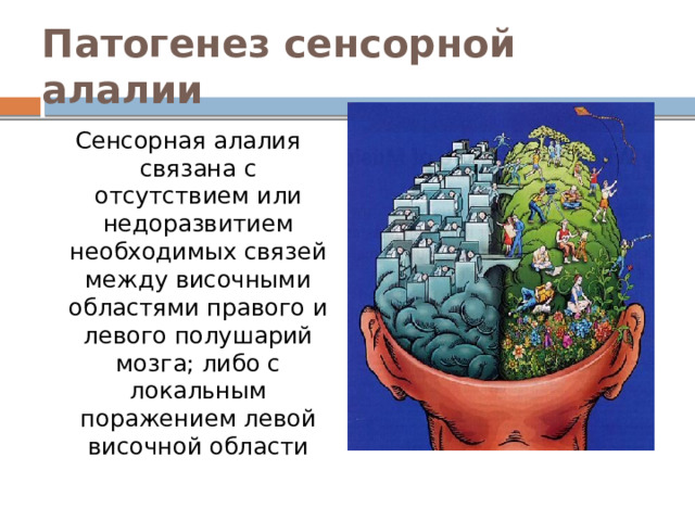 Патогенез сенсорной алалии Сенсорная алалия связана с отсутствием или недоразвитием необходимых связей между височными областями правого и левого полушарий мозга; либо с локальным поражением левой височной области 