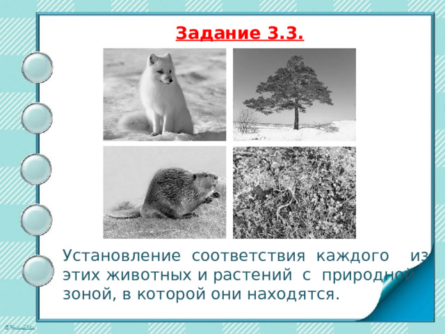 ВПР по окружающему миру  Задание 3.1.   Запиши название каждой природной зоны 