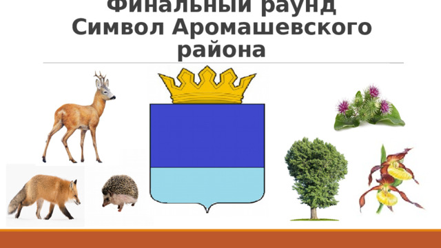 Финальный раунд  Символ Аромашевского района 