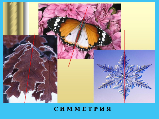  С И М М Е Т Р И Я 