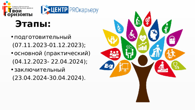 Этапы: подготовительный  (07.11.2023-01.12.2023); основной (практический)  (04.12.2023- 22.04.2024); заключительный  (23.04.2024-30.04.2024). 