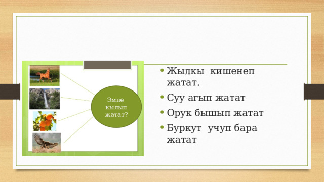 Жылкы кишенеп жатат. Суу агып жатат Орук бышып жатат Буркут учуп бара жатат Эмне кылып жатат? 