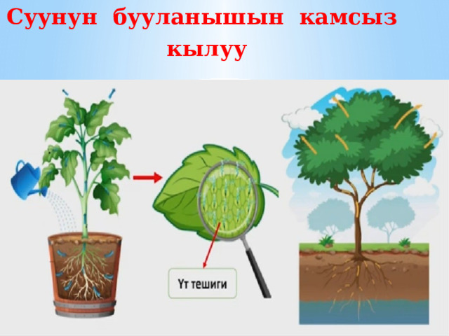 Суунун бууланышын камсыз  кылуу 