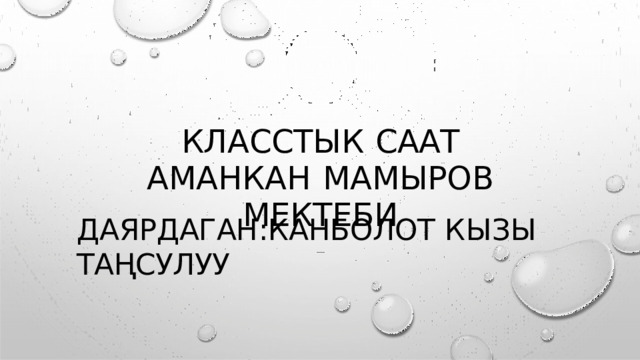 КЛАССТЫК  СААТ  АМАНКАН  МАМЫРОВ  МЕКТЕБИ ДАЯРДАГАН : КАНБОЛОТ  КЫЗЫ  ТАҢСУЛУУ 
