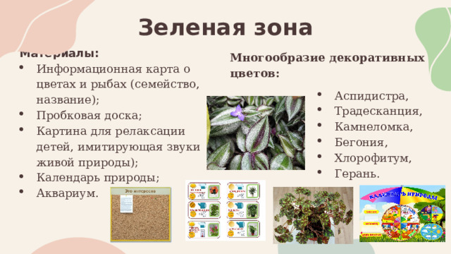 Зеленая зона Материалы: Информационная карта о цветах и рыбах (семейство, название); Пробковая доска; Картина для релаксации детей, имитирующая звуки живой природы); Календарь природы; Аквариум. Многообразие декоративных цветов: Аспидистра, Традесканция, Камнеломка, Бегония, Хлорофитум, Герань. 