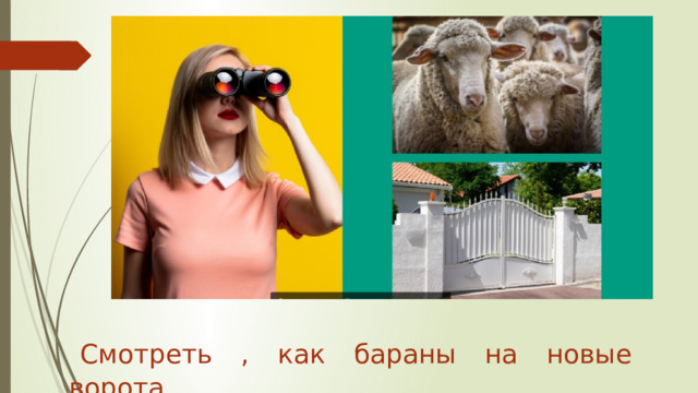 Смотреть , как бараны на новые ворота. 