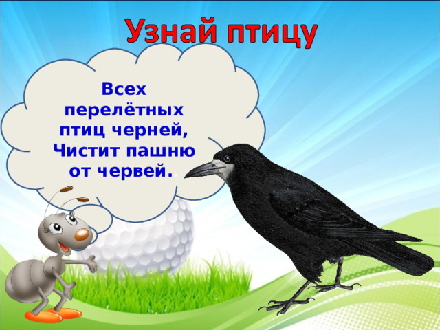 Всех перелётных птиц черней,  Чистит пашню от червей. . 3 