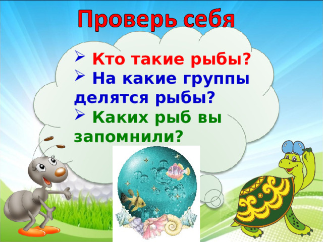  Кто такие рыбы?  На какие группы делятся рыбы?  Каких рыб вы запомнили?   3 