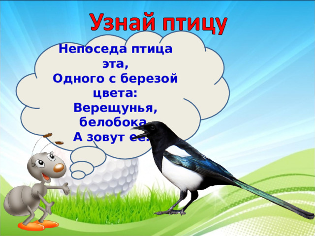 Непоседа птица эта,  Одного с березой цвета:  Верещунья, белобока,  А зовут ее… 3 