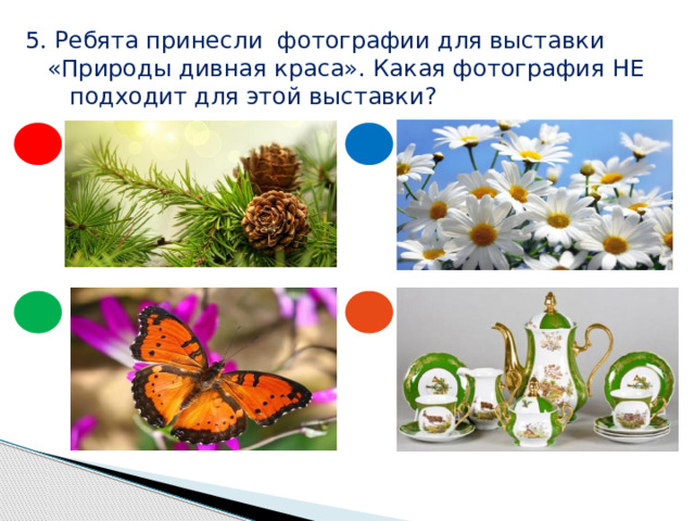 5. Ребята принесли фотографии для выставки  «Природы дивная краса». Какая фотография НЕ  подходит для этой выставки? 