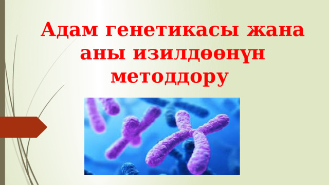 Адам генетикасы жана аны изилдөөнүн методдору 