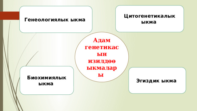 Цитогенетикалык ыкма Генеологиялык ыкма Адам генетикасын изилдөө ыкмалары Биохимиялык ыкма Эгиздик ыкма 