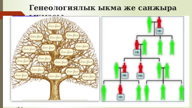 Генеологиялык ыкма же санжыра ыкмасы 