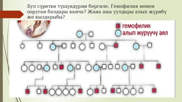 Бул сүрөткө түшүндүрмө бергиле. Гемофилия менен ооруган балдары канча? Жана аны уулдары алып жүрөбү же кыздарыбы? 