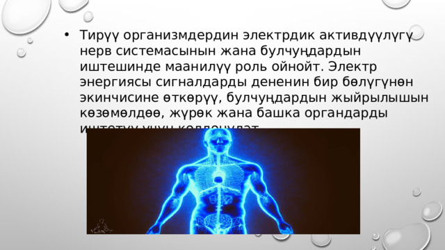 Тирүү организмдердин электрдик активдүүлүгү нерв системасынын жана булчуңдардын иштешинде маанилүү роль ойнойт. Электр энергиясы сигналдарды дененин бир бөлүгүнөн экинчисине өткөрүү, булчуңдардын жыйрылышын көзөмөлдөө, жүрөк жана башка органдарды иштетүү үчүн колдонулат . 