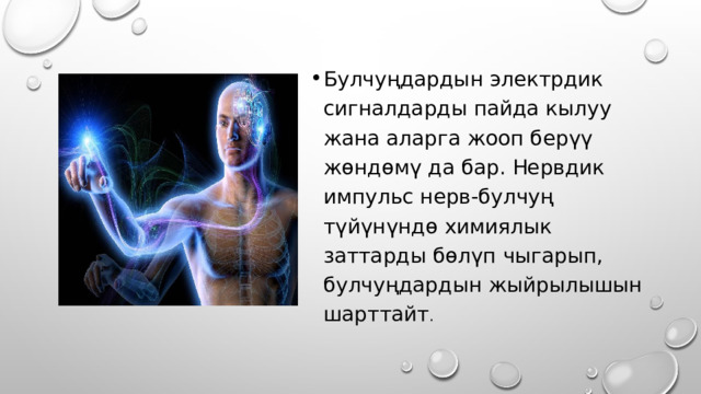 Булчуңдардын электрдик сигналдарды пайда кылуу жана аларга жооп берүү жөндөмү да бар. Нервдик импульс нерв-булчуң түйүнүндө химиялык заттарды бөлүп чыгарып, булчуңдардын жыйрылышын шарттайт . 
