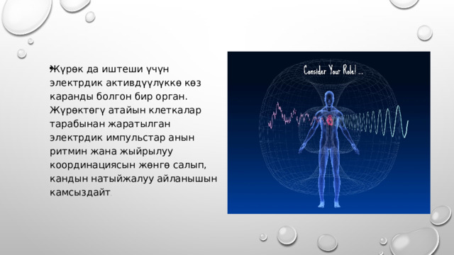 Жүрөк да иштеши үчүн электрдик активдүүлүккө көз каранды болгон бир орган. Жүрөктөгү атайын клеткалар тарабынан жаратылган электрдик импульстар анын ритмин жана жыйрылуу координациясын жөнгө салып, кандын натыйжалуу айланышын камсыздайт . 