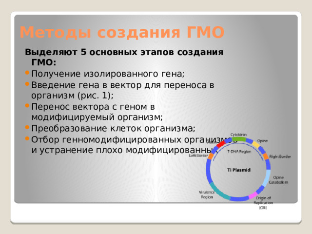 Методы создания ГМО Выделяют 5 основных этапов создания ГМО: Получение изолированного гена; Введение гена в вектор для переноса в организм (рис. 1); Перенос вектора с геном в модифицируемый организм; Преобразование клеток организма; Отбор генномодифицированных организмов и устранение плохо модифицированных 