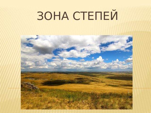 Зона степей   