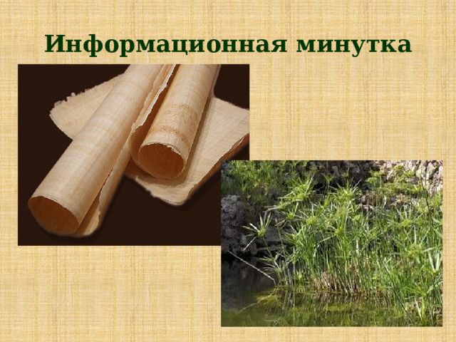 Информационная минутка 