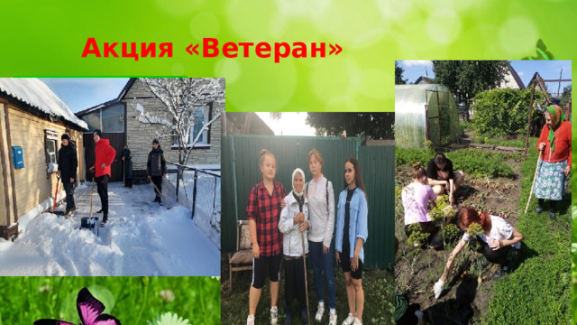  Акция «Ветеран» 
