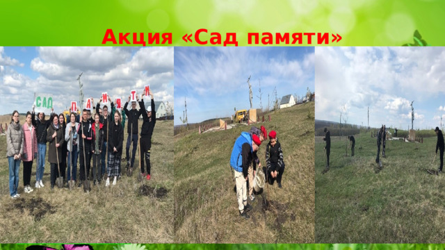 Акция «Сад памяти» 