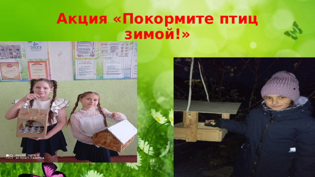Акция «Покормите птиц зимой!» 