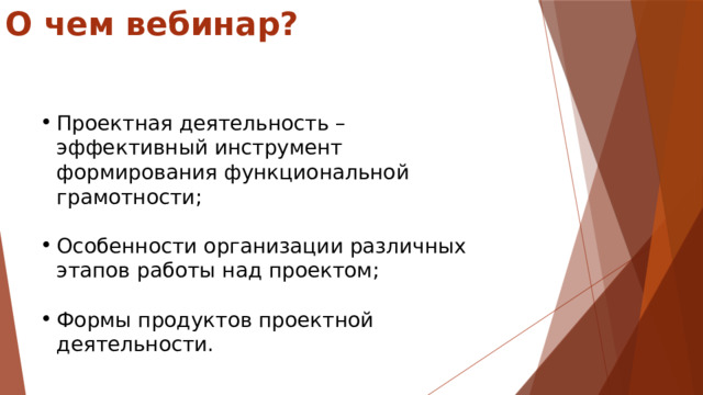 О чем вебинар? Проектная деятельность – эффективный инструмент формирования функциональной грамотности; Особенности организации различных этапов работы над проектом; Формы продуктов проектной деятельности. 