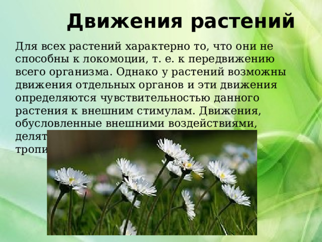   Движения растений    Для всех растений характерно то, что они не способны к локомоции, т. е. к передвижению всего организма. Однако у растений возможны движения отдельных органов и эти движения определяются чувствительностью данного растения к внешним стимулам. Движения, обусловленные внешними воздействиями, делятся на две основные категории — тропизмы и таксисы. 