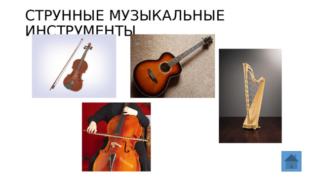 СТРУННЫЕ МУЗЫКАЛЬНЫЕ ИНСТРУМЕНТЫ 