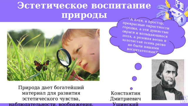 Эстетическое воспитание природы 