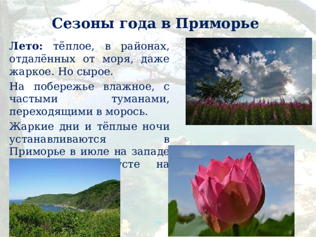 Сезоны года в Приморье Лето: тёплое, в районах, отдалённых от моря, даже жаркое. Но сырое. На побережье влажное, с частыми туманами, переходящими в морось. Жаркие дни и тёплые ночи устанавливаются в Приморье в июле на западе края и в августе на побережье.  