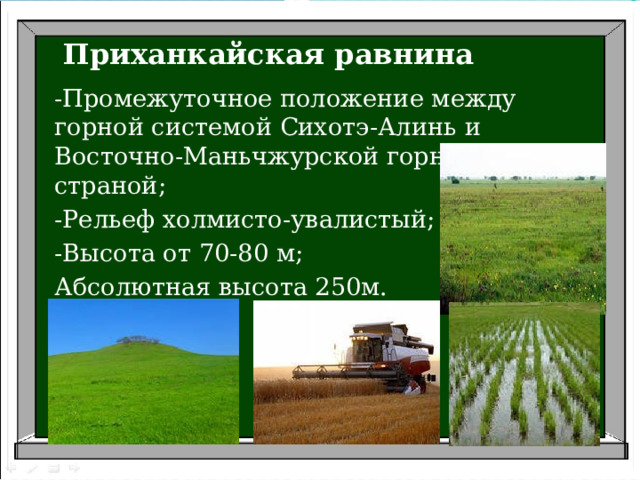 Приханкайская равнина -Промежуточное положение между горной системой Сихотэ-Алинь и Восточно-Маньчжурской горной страной; -Рельеф холмисто-увалистый; -Высота от 70-80 м; Абсолютная высота 250м. 