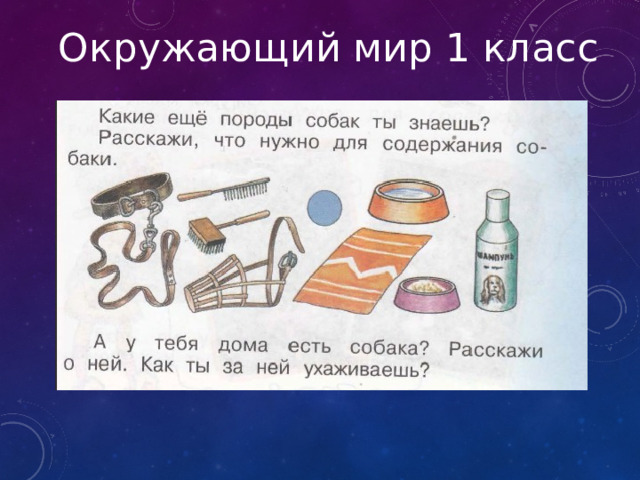 Окружающий мир 1 класс 