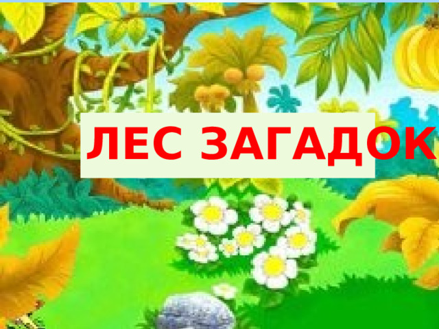 ЛЕС ЗАГАДОК 