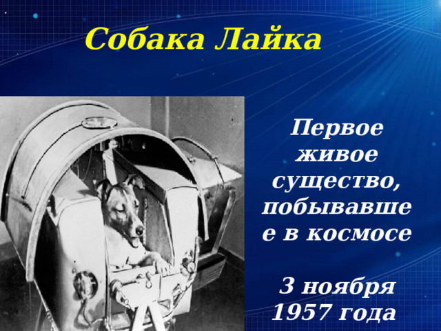 Собака Лайка Первое живое существо, побывавшее в космосе 3 ноября 1957 года 