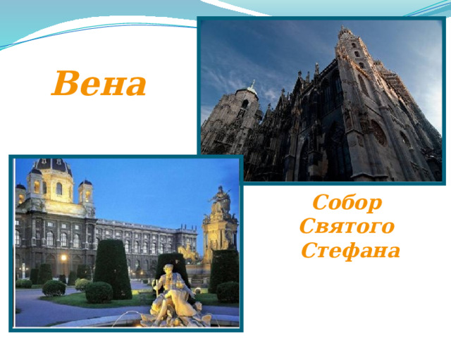 Вена 