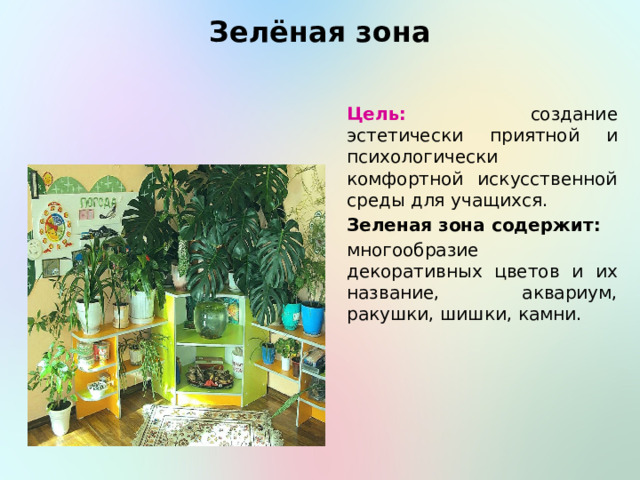 Зелёная зона Цель: создание эстетически приятной и психологически комфортной искусственной среды для учащихся. Зеленая зона содержит: многообразие декоративных цветов и их название, аквариум, ракушки, шишки, камни. 