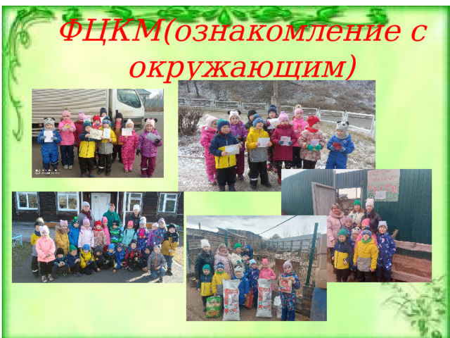 ФЦКМ(ознакомление с окружающим) 