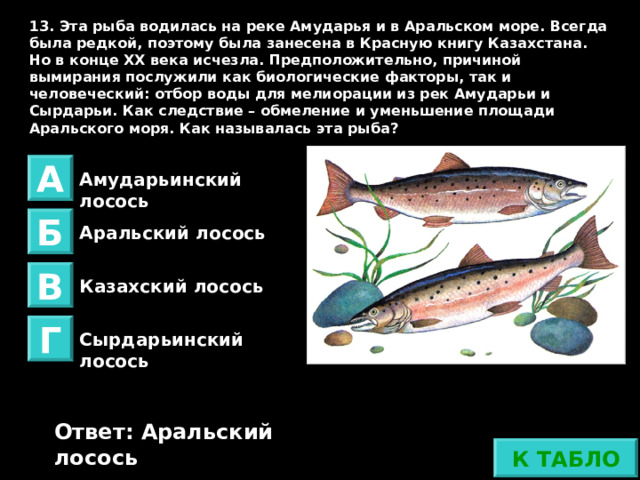 13. Эта рыба водилась на реке Амударья и в Аральском море. Всегда была редкой, поэтому была занесена в Красную книгу Казахстана. Но в конце XX века исчезла. Предположительно, причиной вымирания послужили как биологические факторы, так и человеческий: отбор воды для мелиорации из рек Амударьи и Сырдарьи. Как следствие – обмеление и уменьшение площади Аральского моря. Как называлась эта рыба? А Амударьинский лосось Б Аральский лосось В Казахский лосось Г Сырдарьинский лосось Ответ не верный Ответ: Аральский лосось К ТАБЛО 