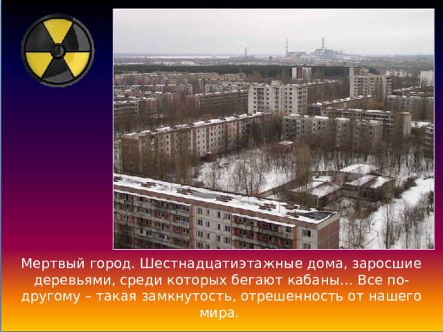 Мертвый город. Шестнадцатиэтажные дома, заросшие деревьями, среди которых бегают кабаны… Все по-другому – такая замкнутость, отрешенность от нашего мира. 
