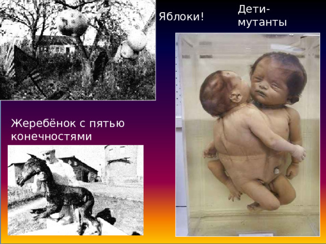 Дети-мутанты Яблоки! Жеребёнок с пятью конечностями 