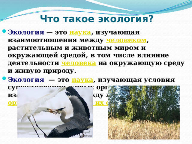 Что такое экология? Экология — это наука , изучающая взаимоотношения между человеком , растительным и животным миром и окружающей средой, в том числе влияние деятельности человека на окружающую среду и живую природу. Экология   — это наука , изучающая условия существования живых организмов, взаимоотношения между живыми организмами и средой их обитания .  