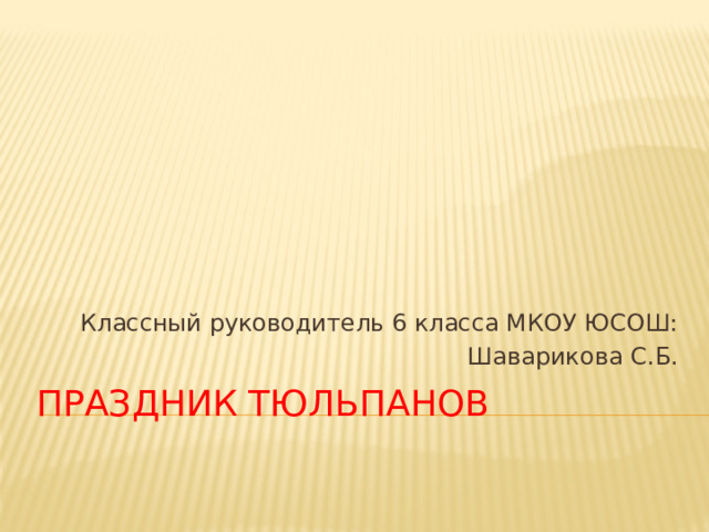 Классный руководитель 6 класса МКОУ ЮСОШ:  Шаварикова С.Б. Праздник Тюльпанов 
