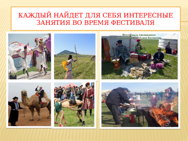 Каждый найдет для себя интересные занятия во время фестиваля 