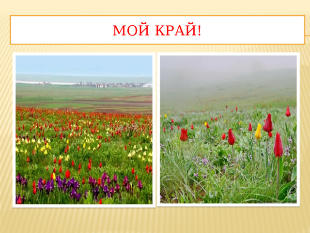 Мой край! 